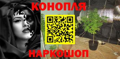 mdpv Лесосибирск