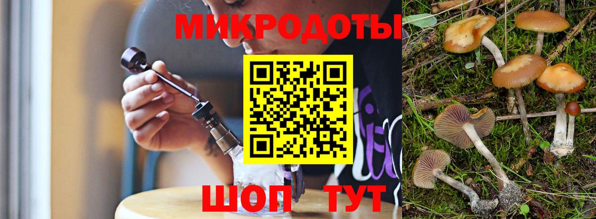Галлюциногенные грибы Magic Shrooms Холмск
